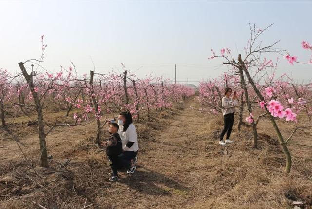 全省首次举办！阜阳这些地方上榜