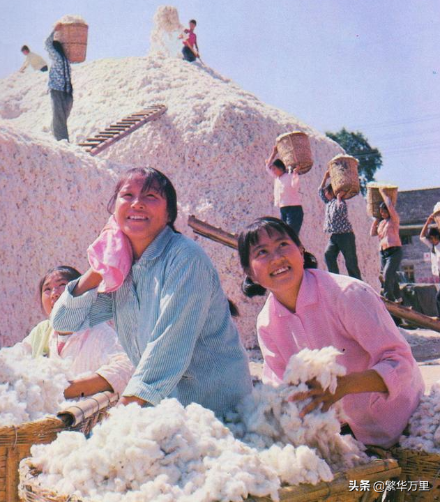 安徽省的区划调整,16个地级市之一,阜阳市为何有8个区县?